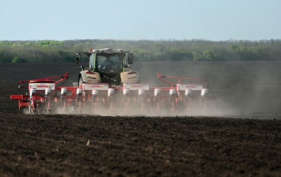 Russia Agriculture Sowing