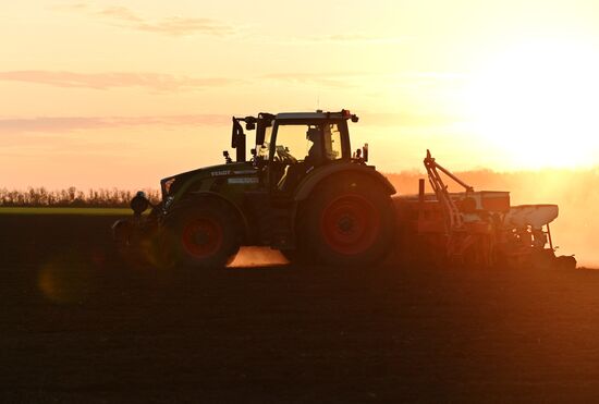 Russia Agriculture Sowing