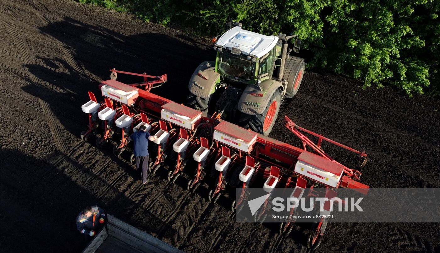 Russia Agriculture Sowing