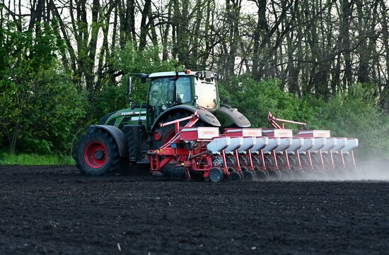 Russia Agriculture Sowing