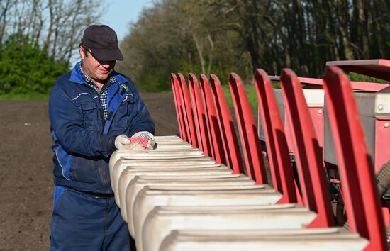 Russia Agriculture Sowing