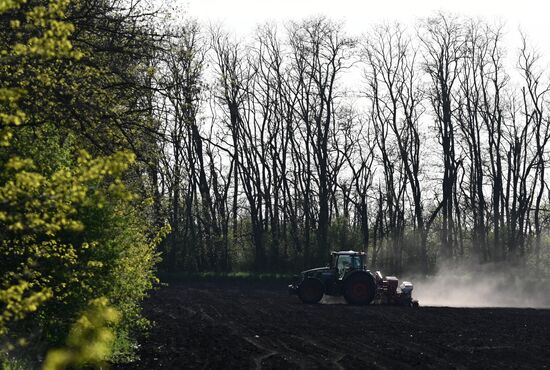 Russia Agriculture Sowing