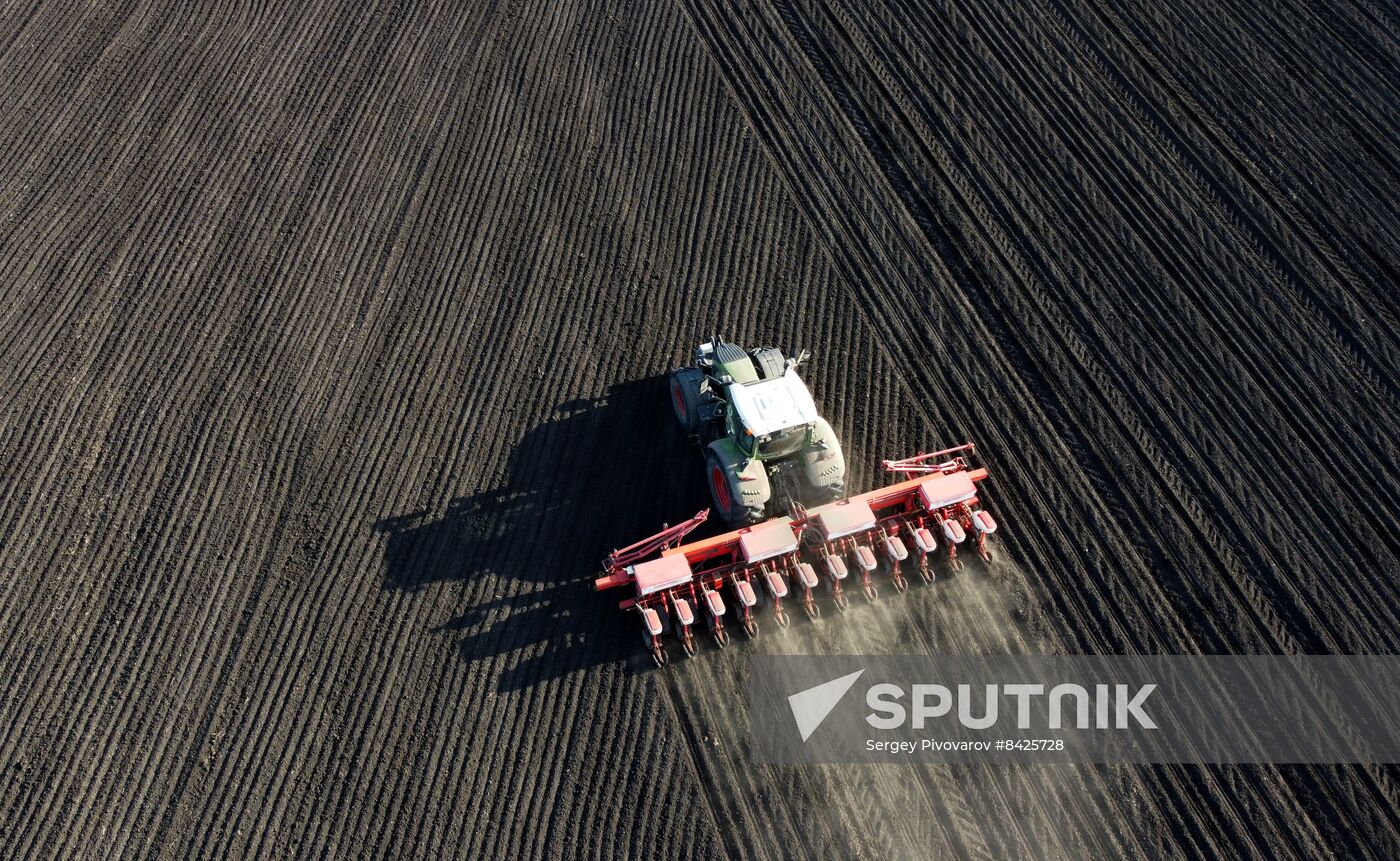 Russia Agriculture Sowing