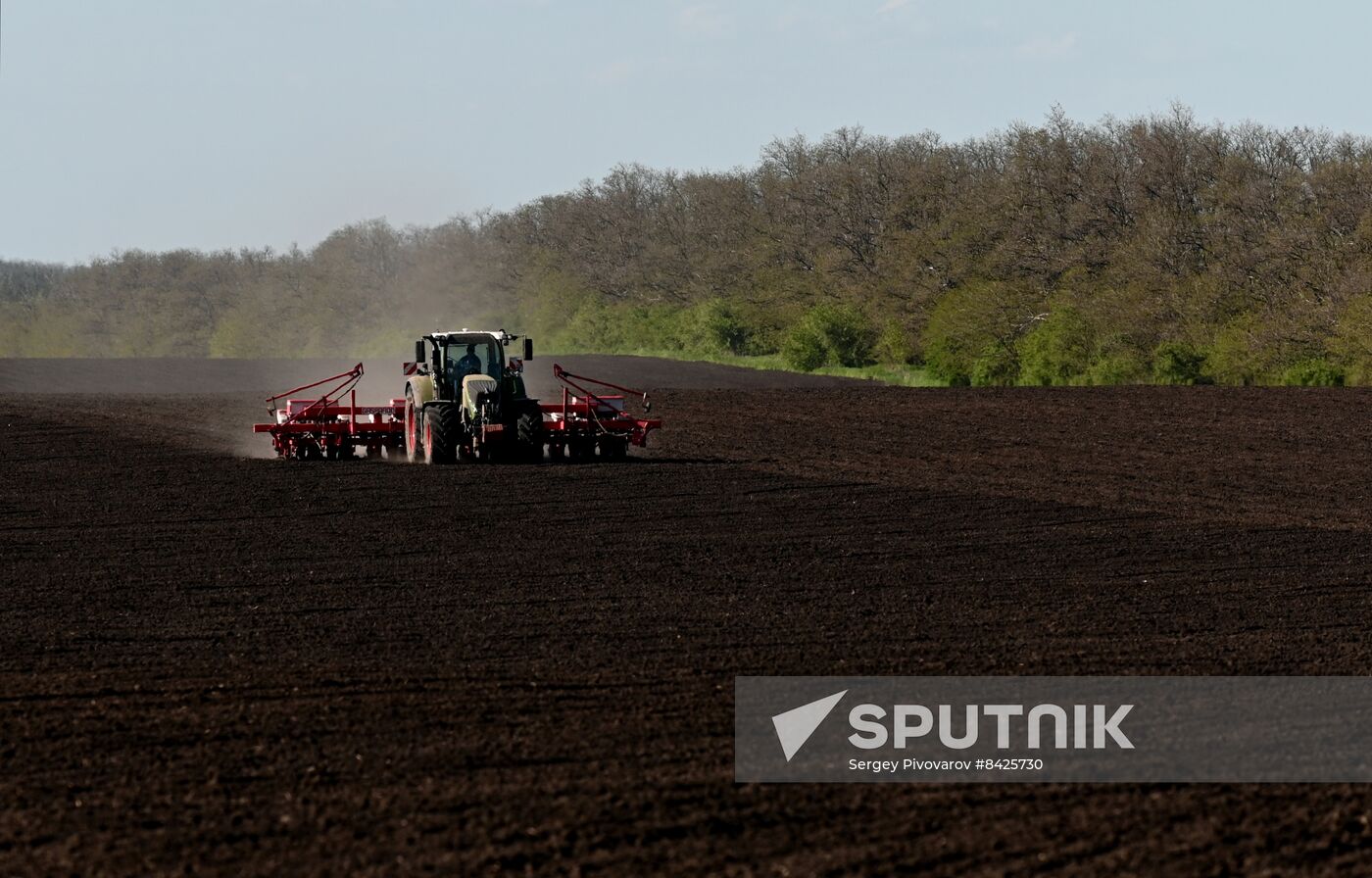 Russia Agriculture Sowing