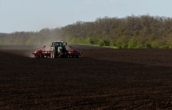 Russia Agriculture Sowing