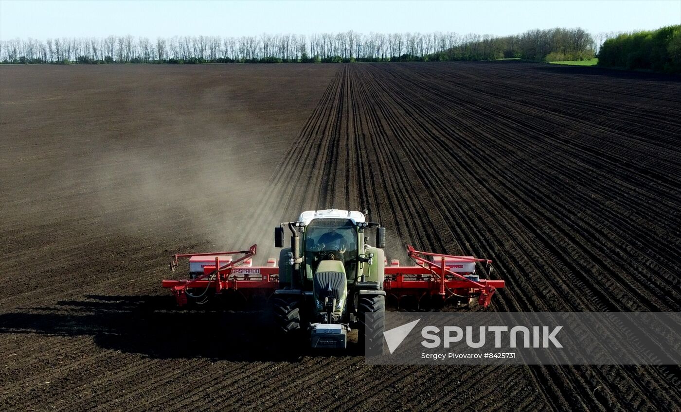 Russia Agriculture Sowing