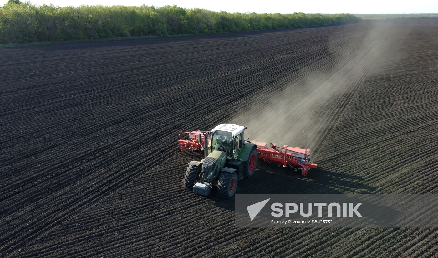 Russia Agriculture Sowing