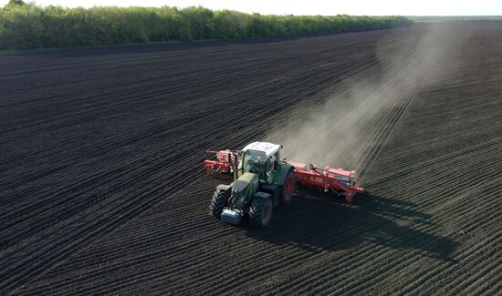 Russia Agriculture Sowing