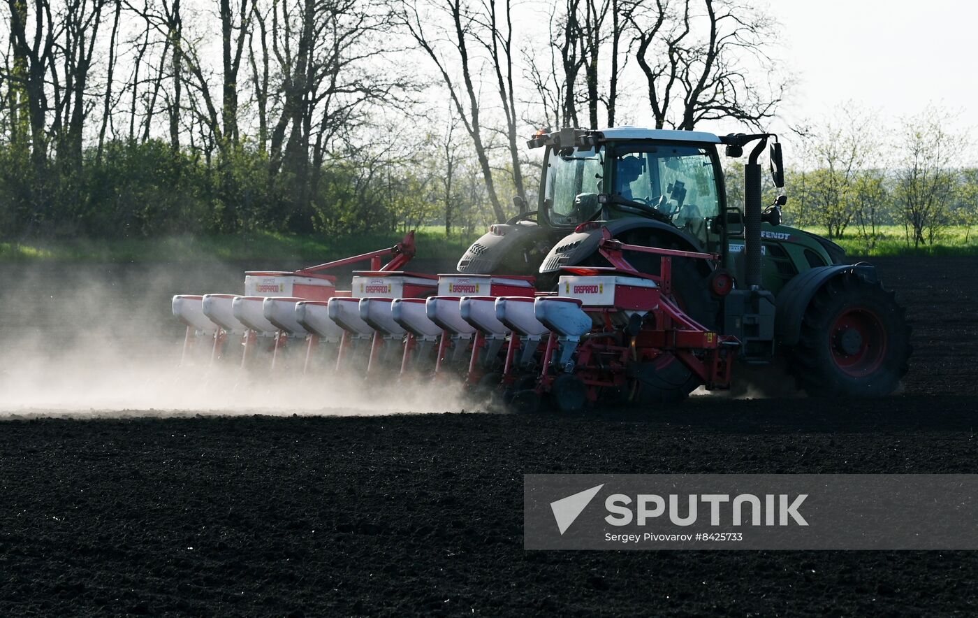 Russia Agriculture Sowing