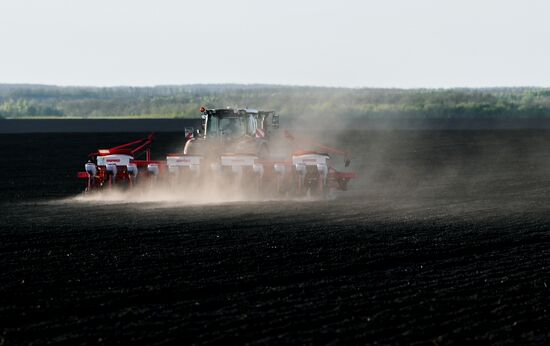 Russia Agriculture Sowing