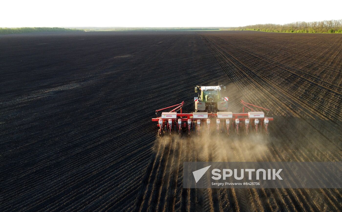 Russia Agriculture Sowing