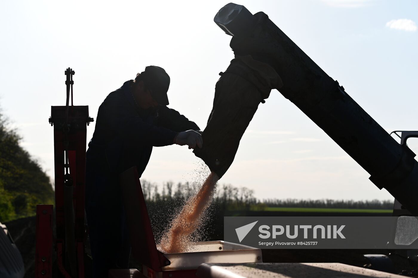 Russia Agriculture Sowing