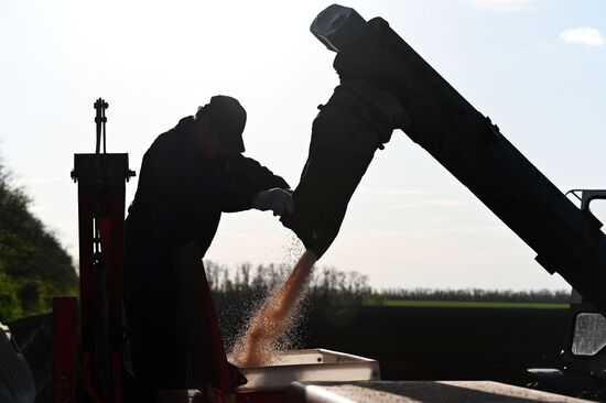 Russia Agriculture Sowing