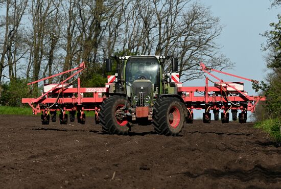 Russia Agriculture Sowing