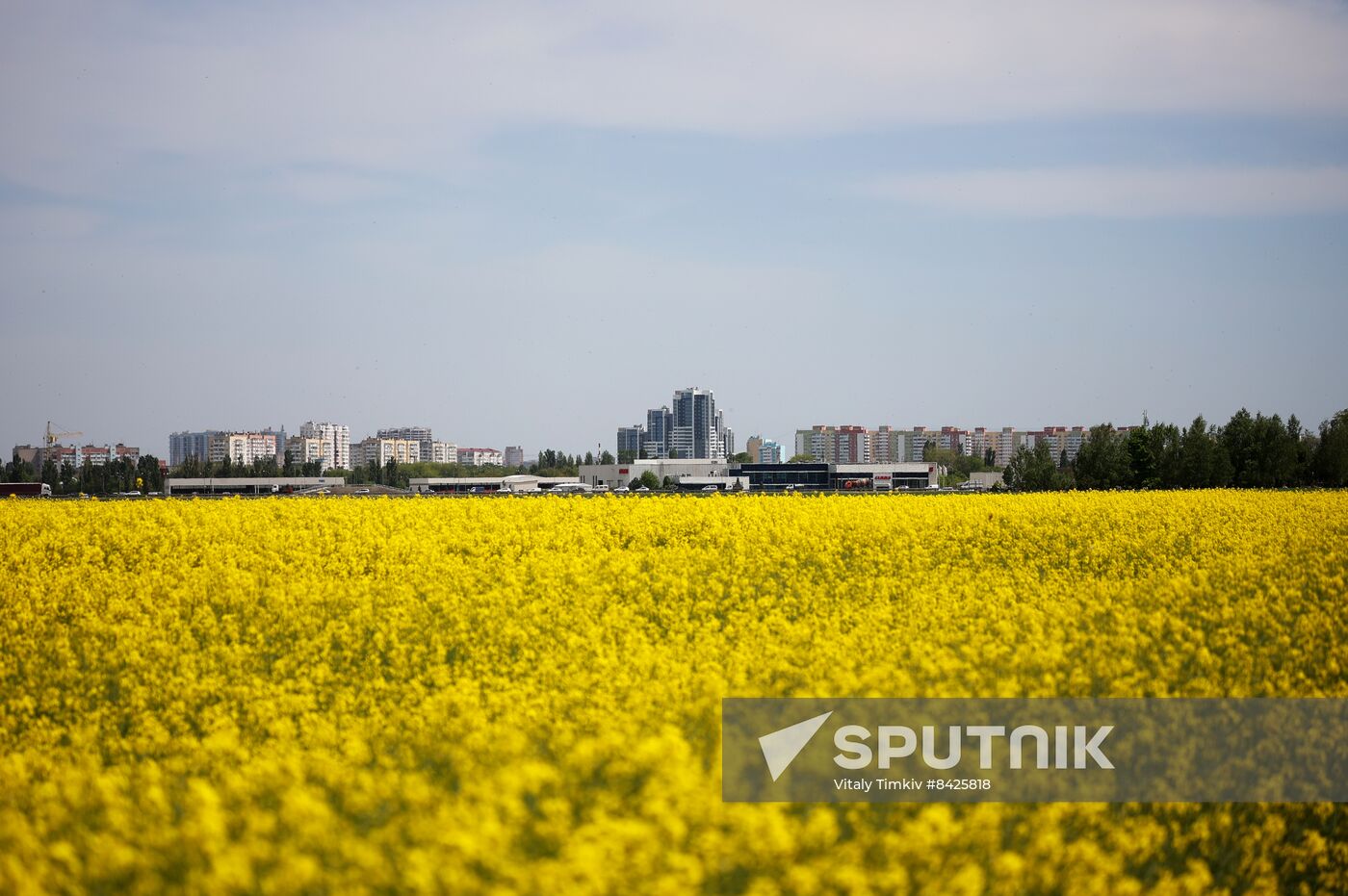 Russia Agriculture Rapeseed