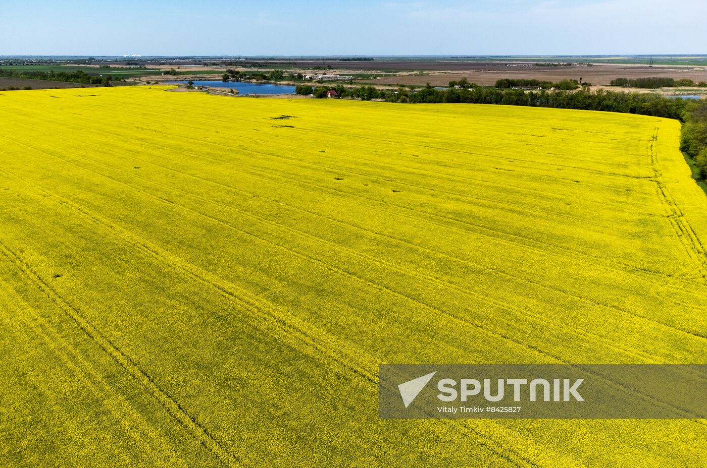 Russia Agriculture Rapeseed