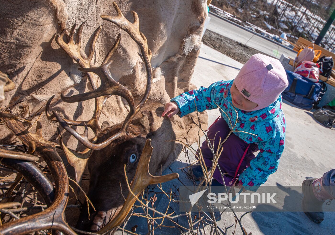 Russia Reindeer Ceremonial Feast