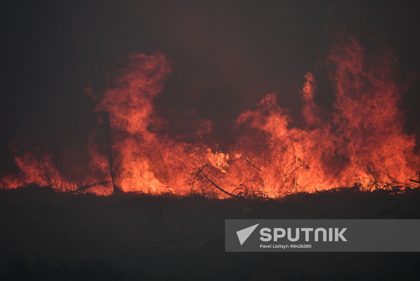 Russia Forest Fires