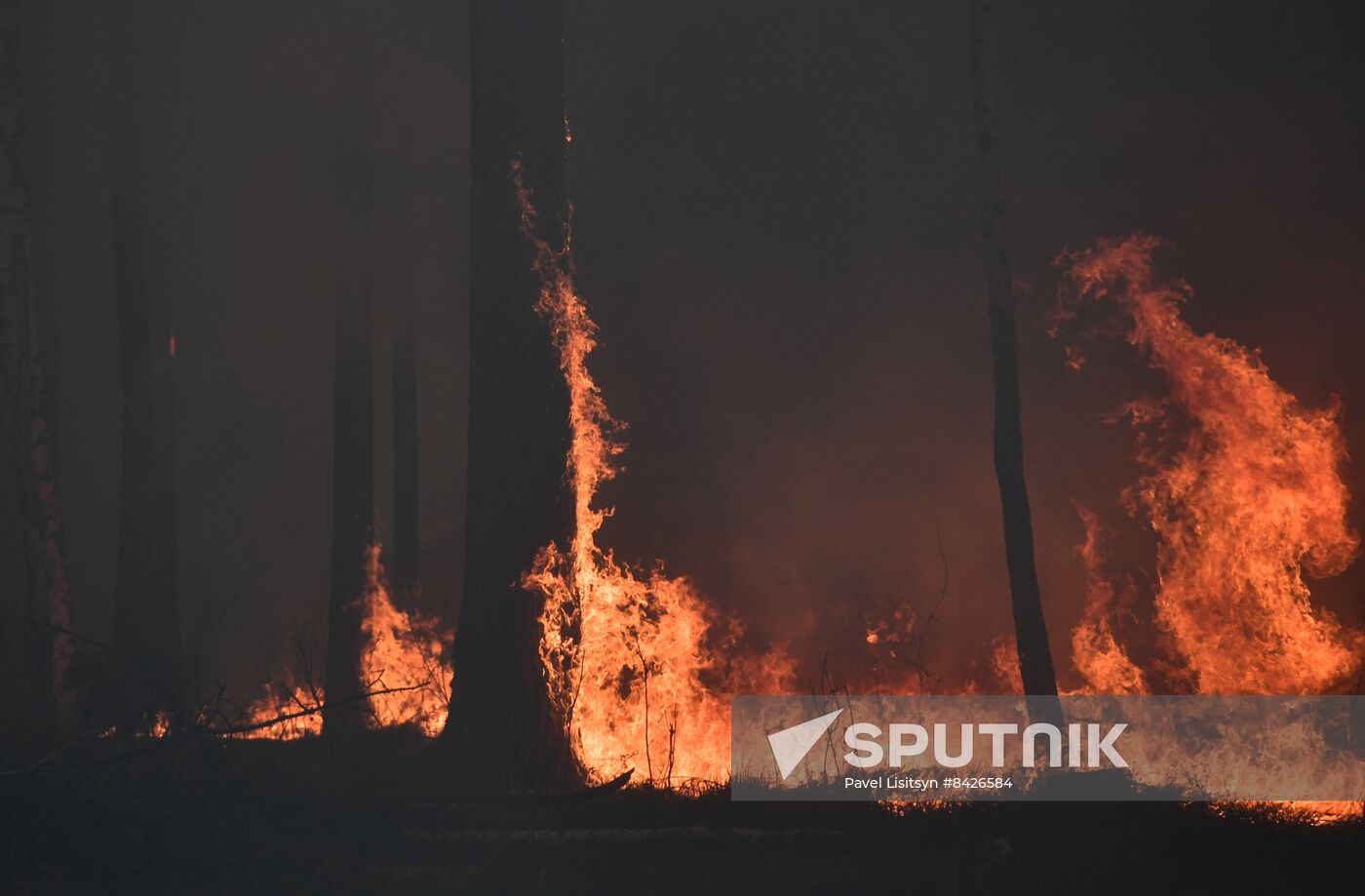 Russia Forest Fires