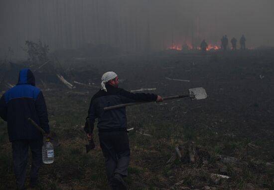 Russia Forest Fires