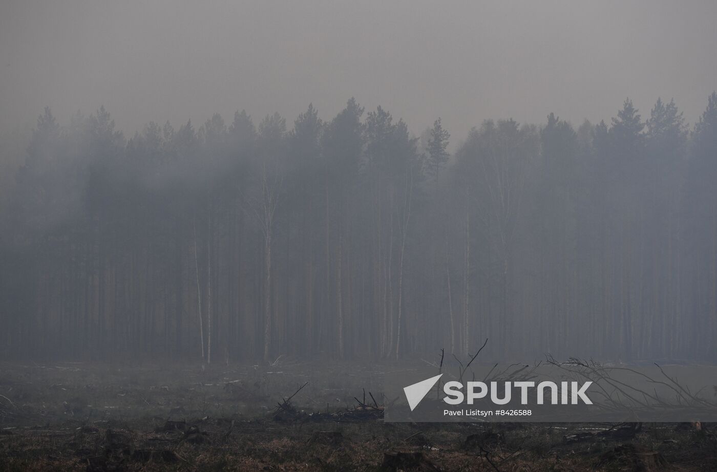 Russia Forest Fires