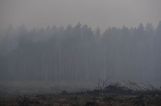 Russia Forest Fires