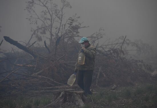 Russia Forest Fires