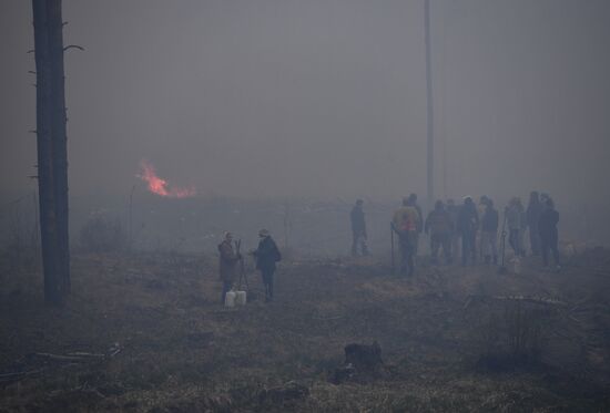 Russia Forest Fires