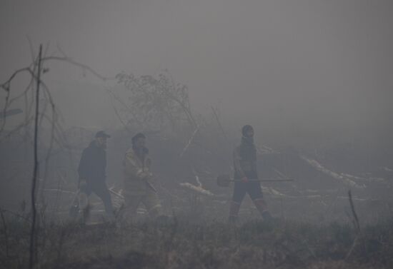 Russia Forest Fires