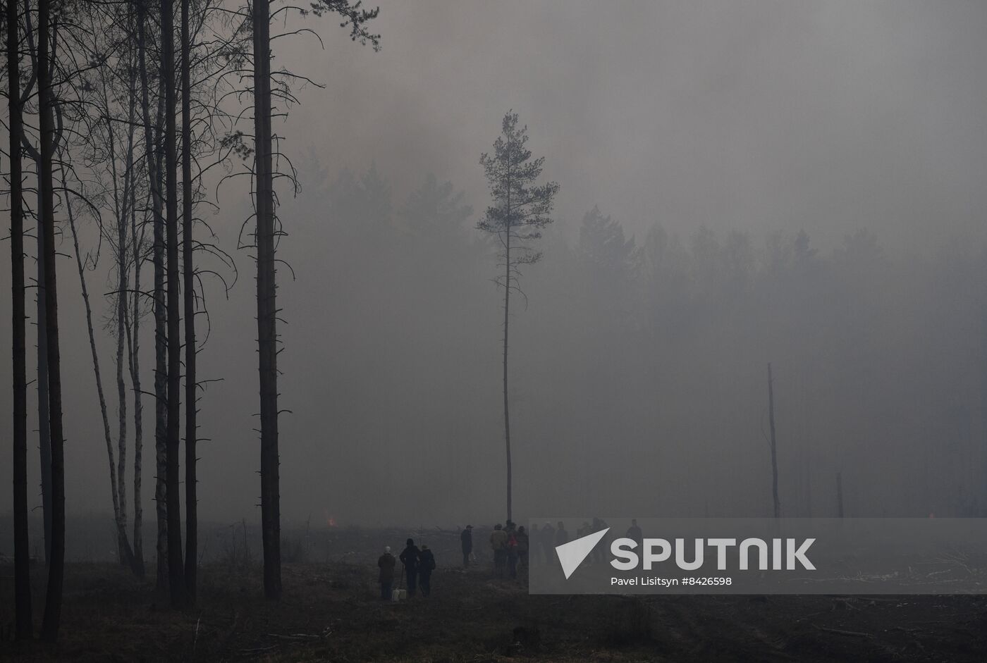 Russia Forest Fires