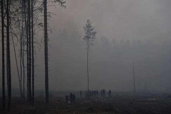 Russia Forest Fires