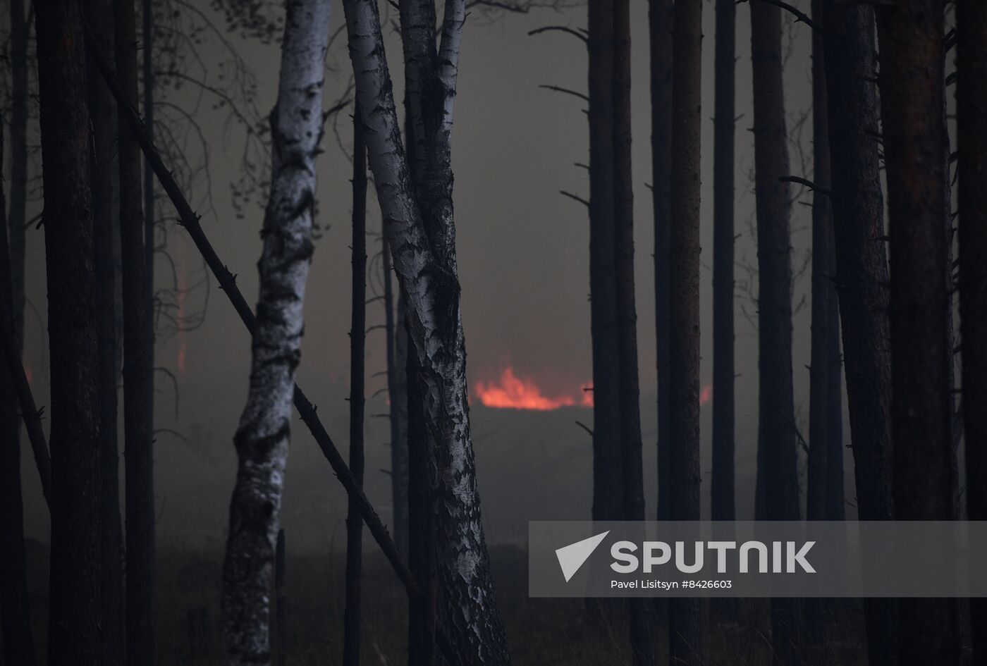 Russia Forest Fires