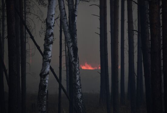 Russia Forest Fires