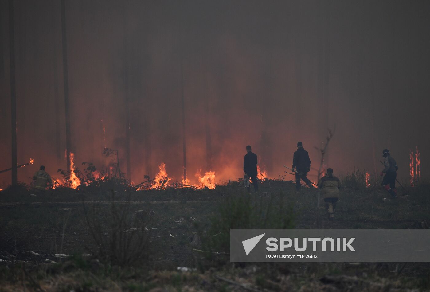 Russia Forest Fires