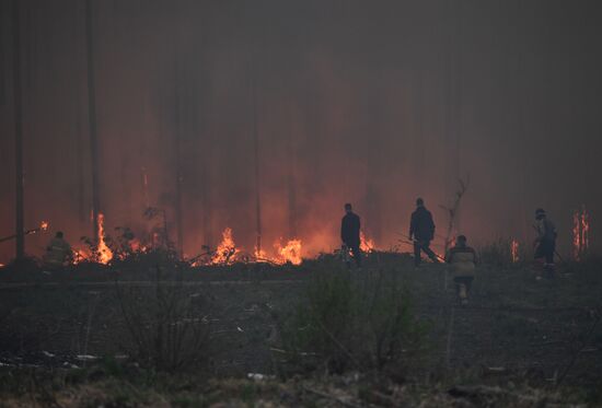 Russia Forest Fires