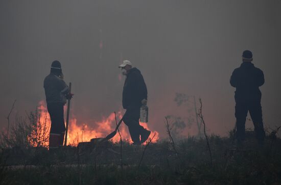 Russia Forest Fires