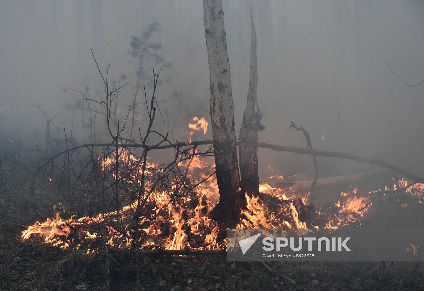 Russia Forest Fires