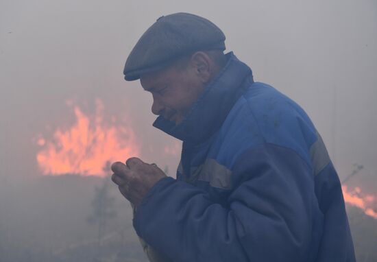 Russia Forest Fires