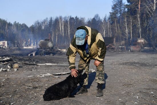 Russia Wildfires