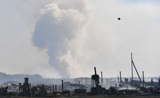 Russia Wildfires