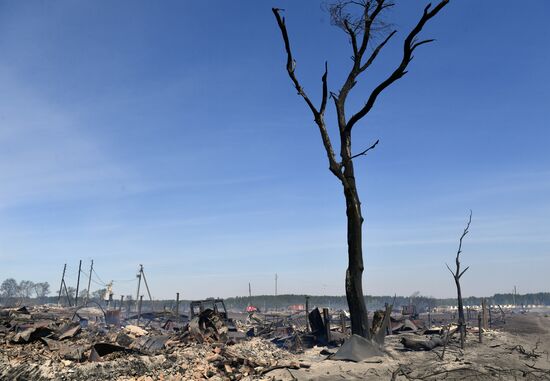 Russia Wildfires