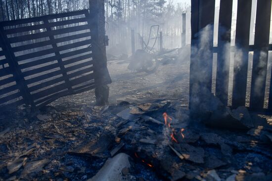 Russia Wildfires