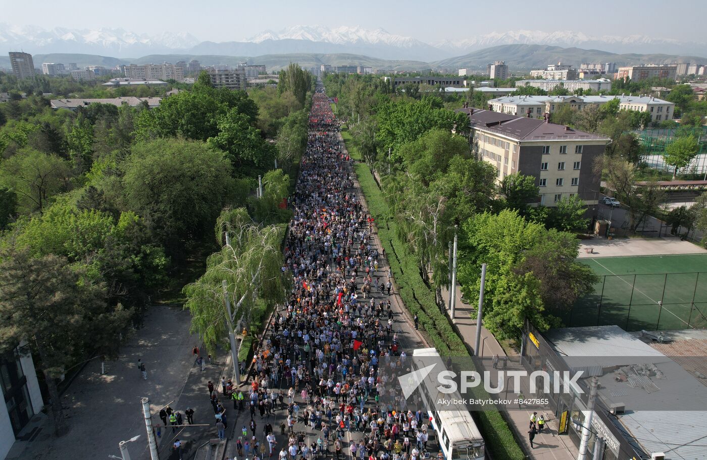 CIS WWII Immortal Regiment Campaign