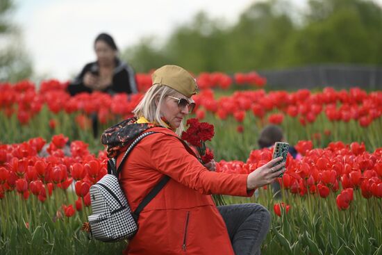 Russia WWII Victory Day Celebrations