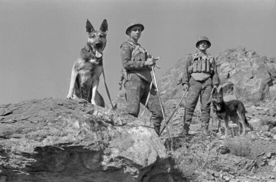 1980s, Afghanistan, Soviet Armed Forces, Mil Mi-24, Afghan War, helicopter gunships, soldier, Afghan War veteran, internationalist soldiers, armed, civil war, conflict, national, limited contingent, politics, conversation, Soviet troops, Soviet soldiers, peace settlement