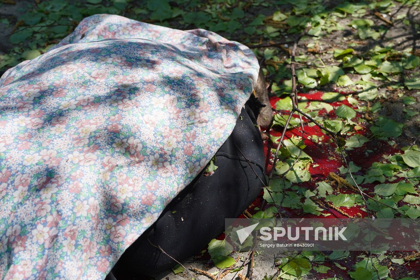 Russia DPR Shelling