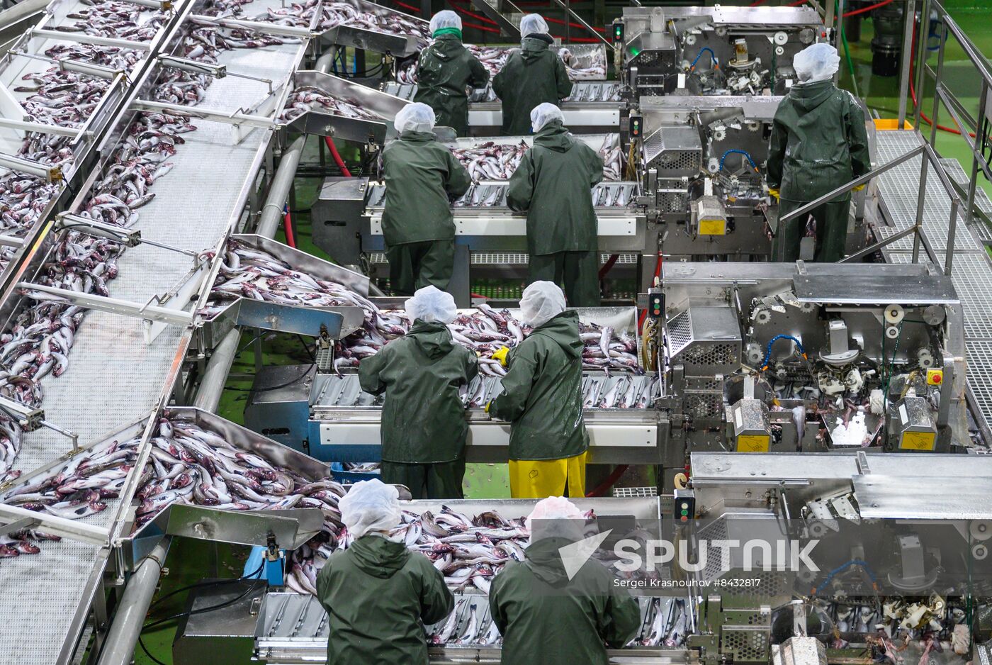 Russia Fishing Industry
