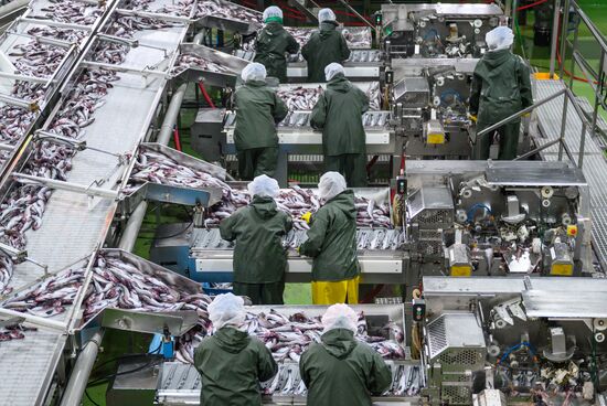 Russia Fishing Industry
