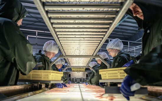 Russia Fishing Industry