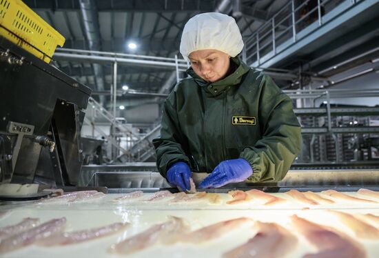Russia Fishing Industry